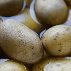 Klimavenlig kost: Sådan spiser du grønnere uden at gå på kompromis